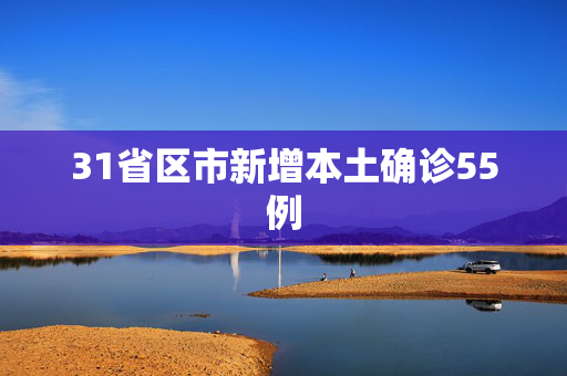 31省区市新增本土确诊55例