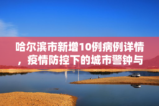 哈尔滨市新增10例病例详情，疫情防控下的城市警钟与应对策略