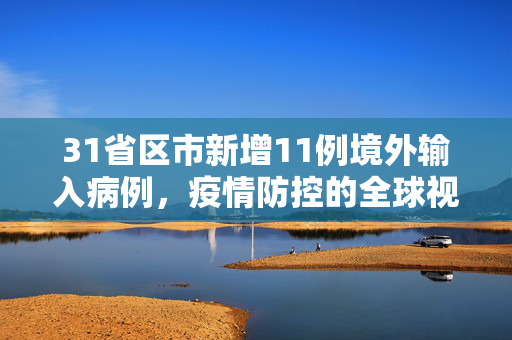 31省区市新增11例境外输入病例，疫情防控的全球视角与本土应对策略