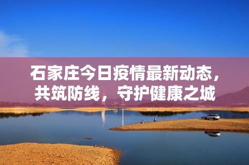 石家庄今日疫情最新动态，共筑防线，守护健康之城