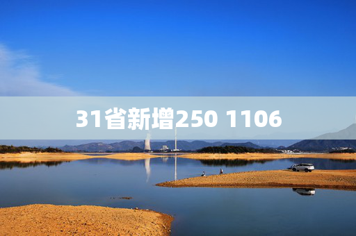 31省新增250 1106