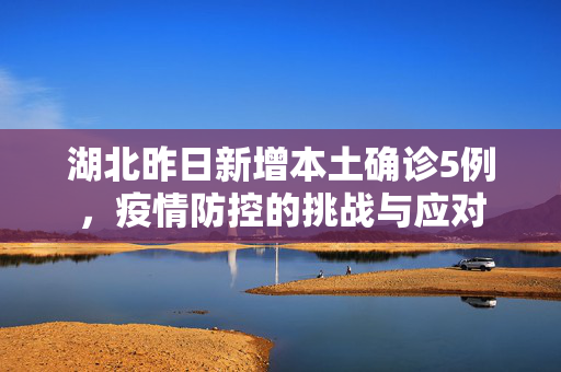 湖北昨日新增本土确诊5例，疫情防控的挑战与应对