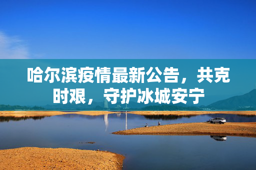 哈尔滨疫情最新公告，共克时艰，守护冰城安宁