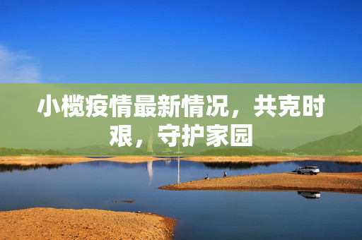 小榄疫情最新情况，共克时艰，守护家园