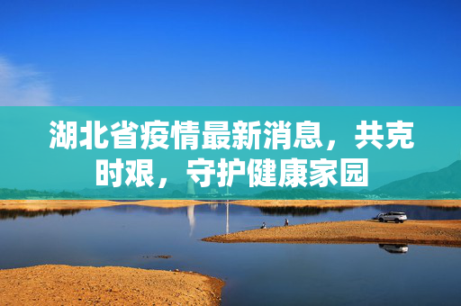 湖北省疫情最新消息，共克时艰，守护健康家园