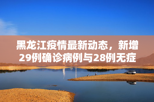 黑龙江疫情最新动态，新增29例确诊病例与28例无症状感染者的深度解析
