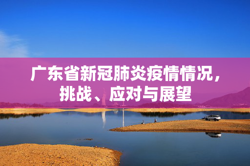广东省新冠肺炎疫情情况，挑战、应对与展望