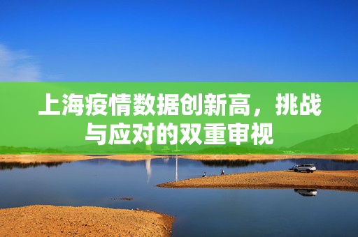 上海疫情数据创新高，挑战与应对的双重审视