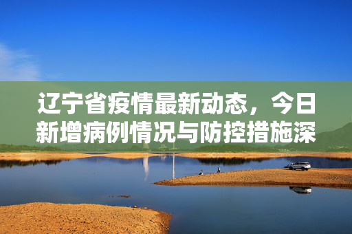 辽宁省疫情最新动态，今日新增病例情况与防控措施深度解析