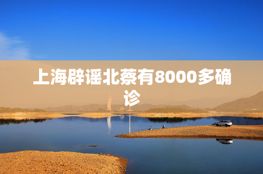 上海辟谣北蔡有8000多确诊