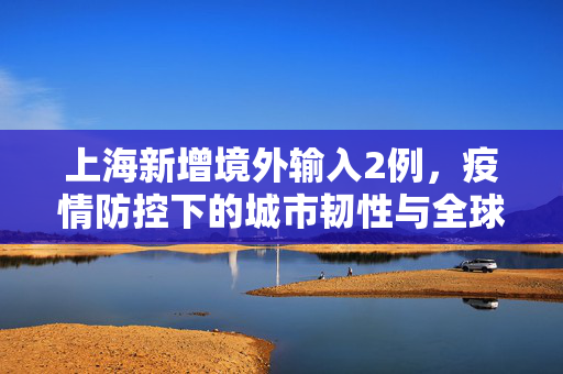 上海新增境外输入2例，疫情防控下的城市韧性与全球合作