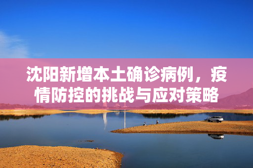 沈阳新增本土确诊病例，疫情防控的挑战与应对策略
