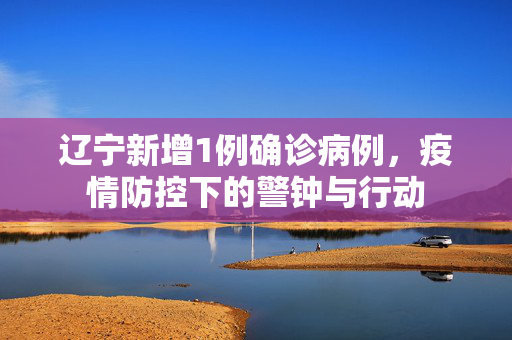 辽宁新增1例确诊病例，疫情防控下的警钟与行动