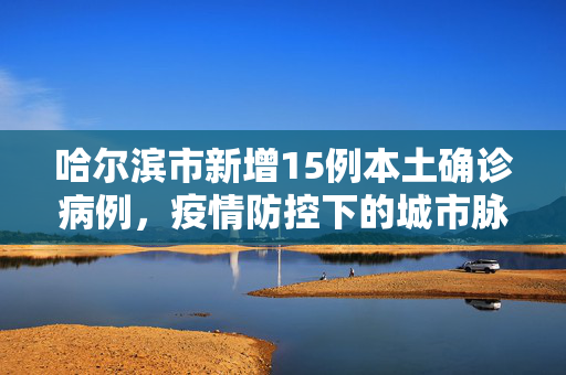 哈尔滨市新增15例本土确诊病例，疫情防控下的城市脉动与应对策略