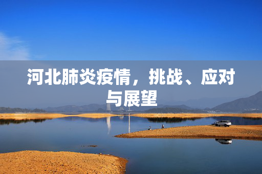 河北肺炎疫情，挑战、应对与展望
