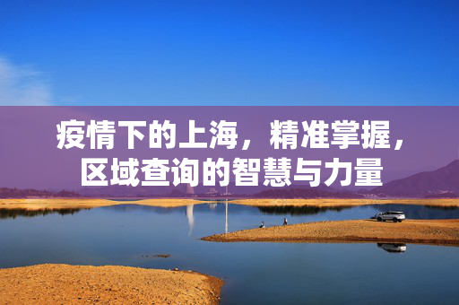 疫情下的上海，精准掌握，区域查询的智慧与力量