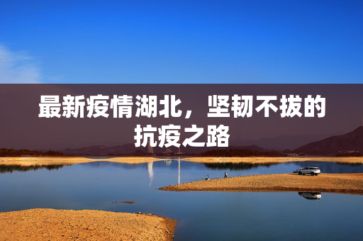 最新疫情湖北，坚韧不拔的抗疫之路