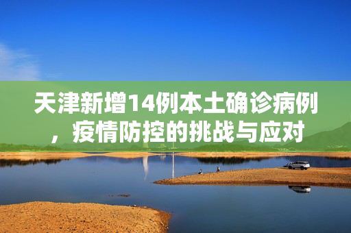天津新增14例本土确诊病例，疫情防控的挑战与应对