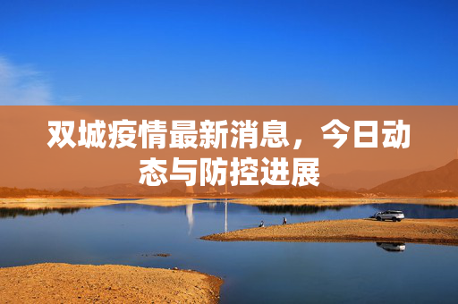 双城疫情最新消息，今日动态与防控进展