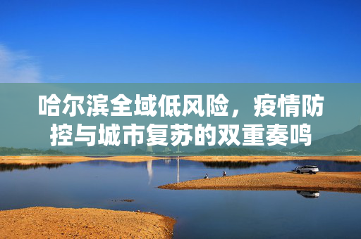 哈尔滨全域低风险，疫情防控与城市复苏的双重奏鸣