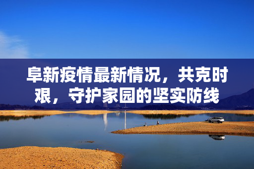 阜新疫情最新情况，共克时艰，守护家园的坚实防线