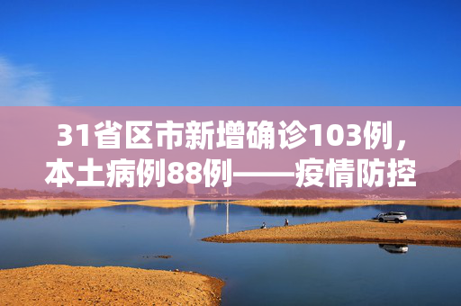 31省区市新增确诊103例，本土病例88例——疫情防控形势的严峻挑战与应对策略