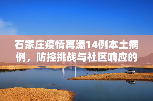 石家庄疫情再添14例本土病例，防控挑战与社区响应的深度剖析