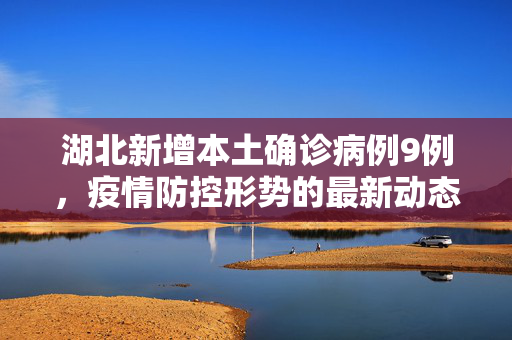 湖北新增本土确诊病例9例，疫情防控形势的最新动态与应对措施