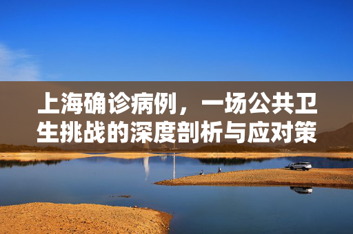 上海确诊病例，一场公共卫生挑战的深度剖析与应对策略