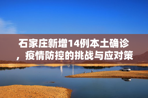 石家庄新增14例本土确诊，疫情防控的挑战与应对策略