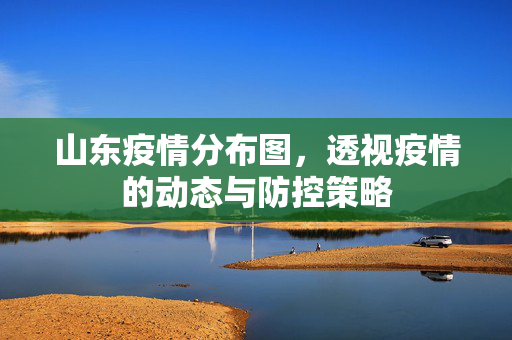 山东疫情分布图，透视疫情的动态与防控策略