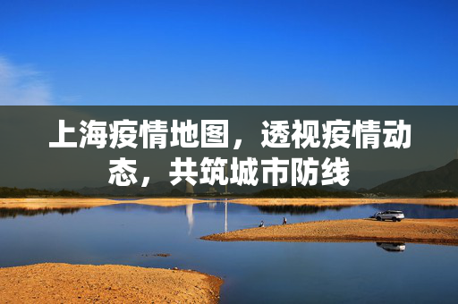 上海疫情地图，透视疫情动态，共筑城市防线