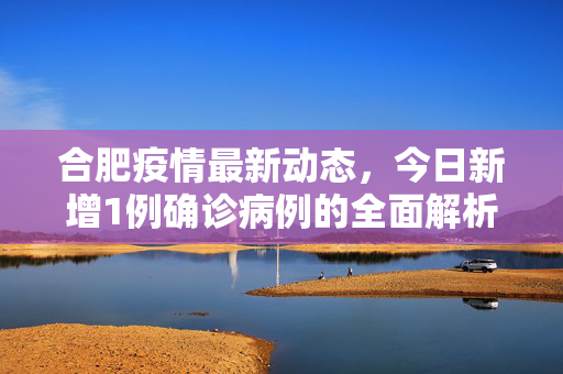 合肥疫情最新动态，今日新增1例确诊病例的全面解析与应对措施