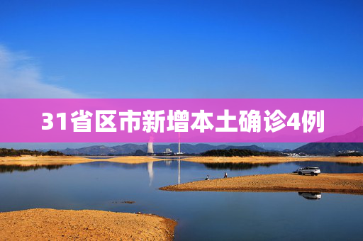 31省区市新增本土确诊4例