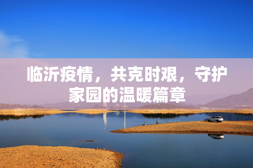 临沂疫情，共克时艰，守护家园的温暖篇章