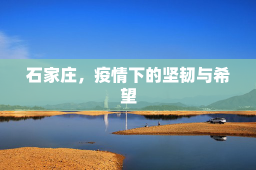 石家庄，疫情下的坚韧与希望