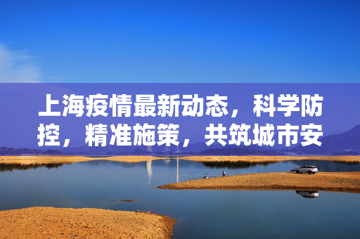 上海疫情最新动态，科学防控，精准施策，共筑城市安全防线