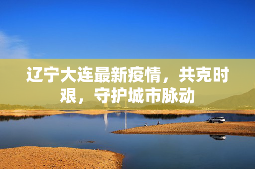 辽宁大连最新疫情，共克时艰，守护城市脉动