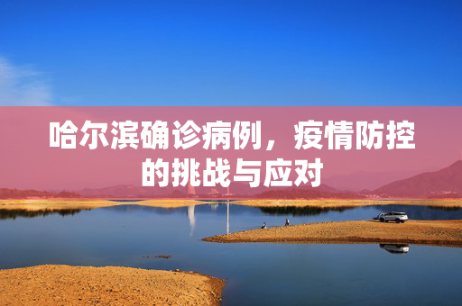 哈尔滨确诊病例，疫情防控的挑战与应对