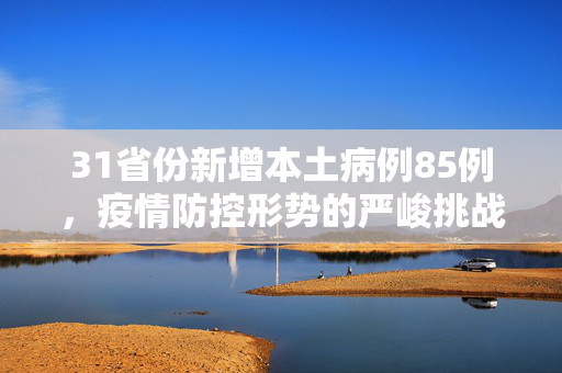 31省份新增本土病例85例，疫情防控形势的严峻挑战与应对策略