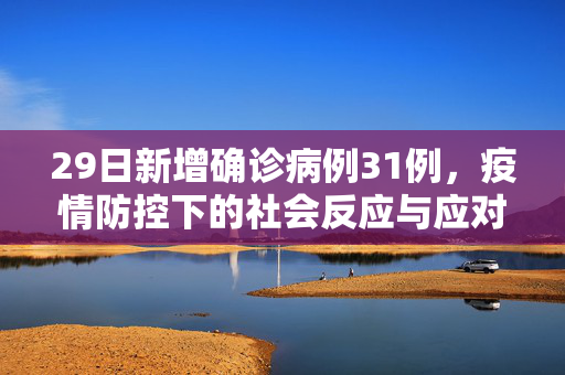 29日新增确诊病例31例，疫情防控下的社会反应与应对策略
