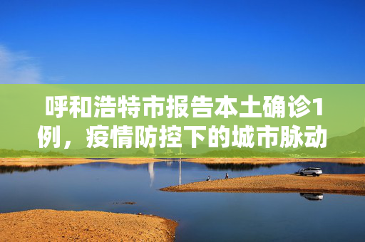 呼和浩特市报告本土确诊1例，疫情防控下的城市脉动与民众响应