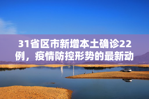 31省区市新增本土确诊22例，疫情防控形势的最新动态与应对策略