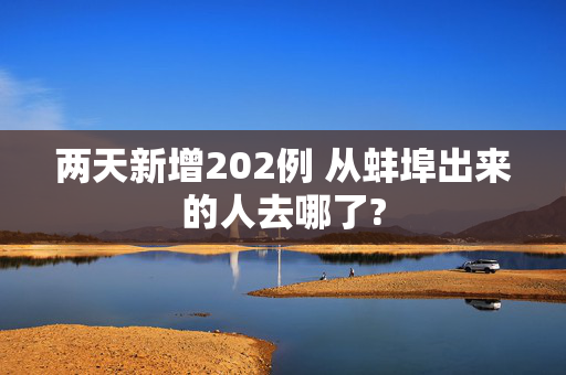 两天新增202例 从蚌埠出来的人去哪了?