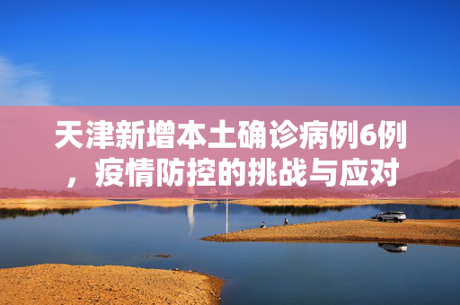 天津新增本土确诊病例6例，疫情防控的挑战与应对