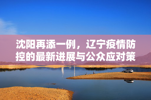 沈阳再添一例，辽宁疫情防控的最新进展与公众应对策略