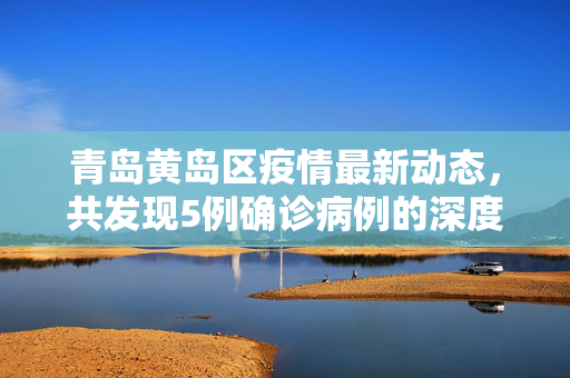 青岛黄岛区疫情最新动态，共发现5例确诊病例的深度解析与应对措施