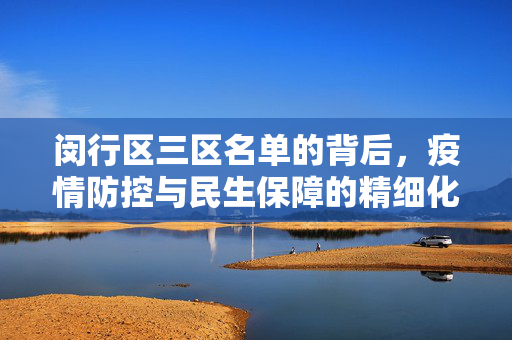 闵行区三区名单的背后，疫情防控与民生保障的精细化管理