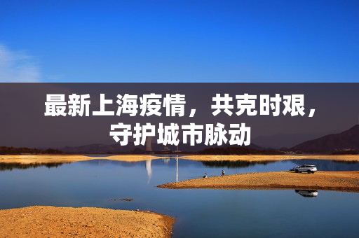 最新上海疫情，共克时艰，守护城市脉动