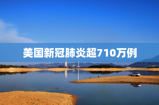 美国新冠肺炎超710万例